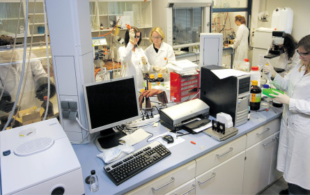 Neuer Auftrag für Grazer Forscher