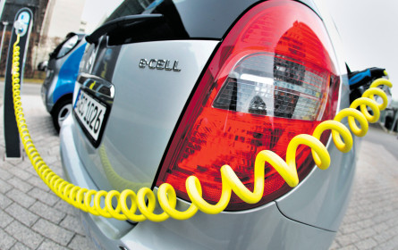 Prämie soll nun Starthilfe geben