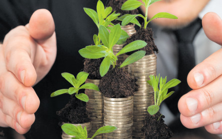 Wenn Unternehmen Stiftungen gründen