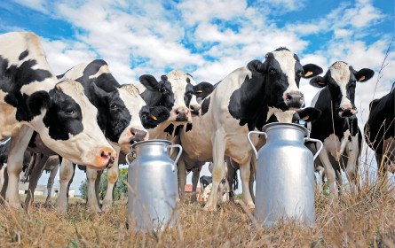 „TTIP wird Qualität nicht steigern”