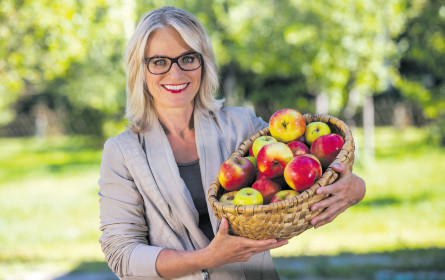 Stark auf hohem Niveau