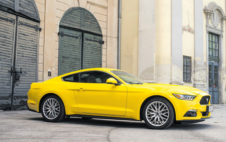 Tierversuch am Pony-Car