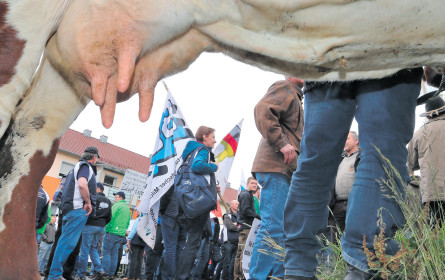 Milchpreis im Keller