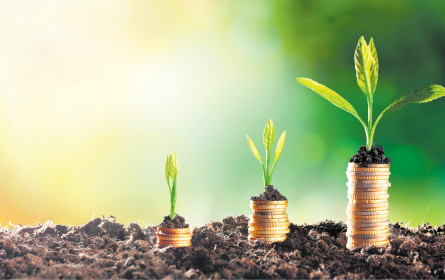 Die Ethik legt erneut zu