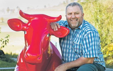 Ein trauriger Tag für Kuh und Bauer