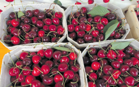 Rettet die Vielfalt!