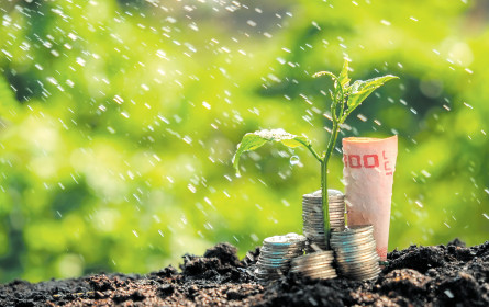 Retail-Banking: ein zartes Pflänzchen