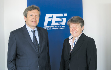 Elektromotor schnurrt