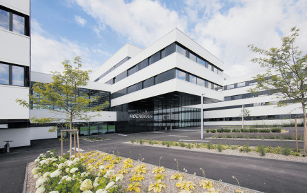 Wien lockt – und die Betriebe kommen auch