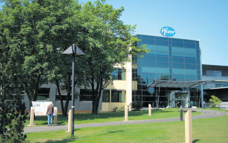 Pfizer ist wieder auf Einkaufstour