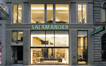 Salamander macht es bunt