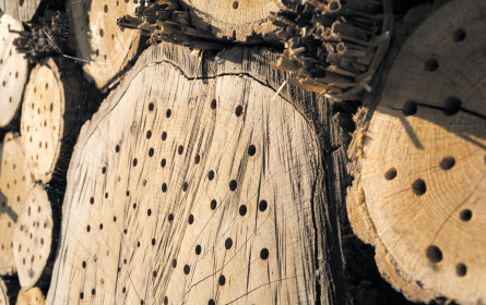 Da ist derzeit der Wurm drin