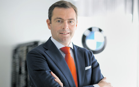 Starke Modellpalette