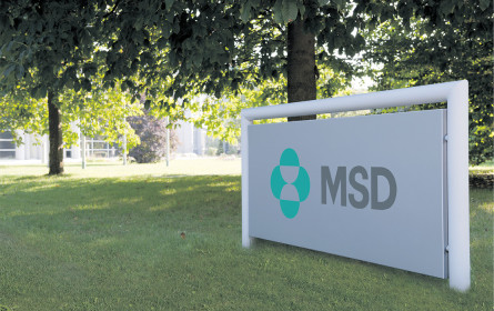 Herausforderung Hepatitis C