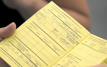 Erfolge aus der Forschung