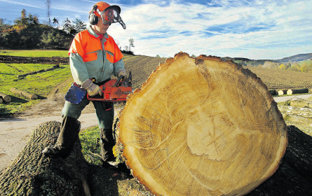 Es wird erfolgreich gesägt