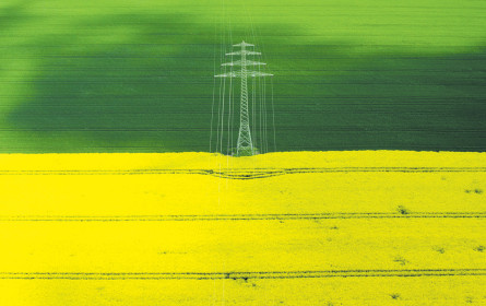 Nachhaltig unter Strom