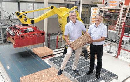 Ein Ziegel mit Vollwert