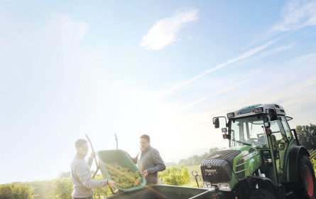 Es wird ein Wein sein