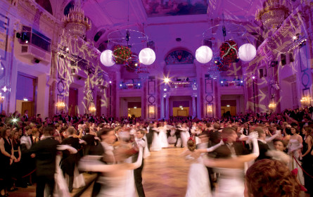 The Rhythm of Vienna