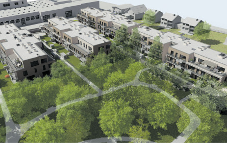 Nahe der Alten Donau