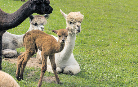 Kalte Tage, warme Kleidung