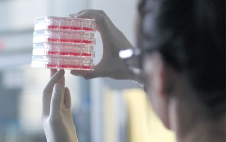 Erfolge für heimische Gesundheits-Start-ups