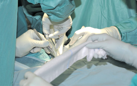 Semperit erobert den EARTO für Österreich