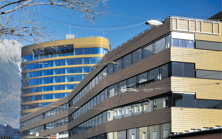 Tageszeitung isch lei oane