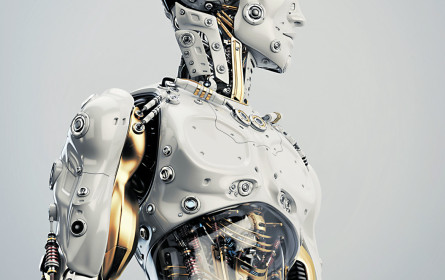 Hands-on-Trends 2017