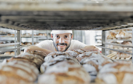 Wie kommt Bio ins Brot?