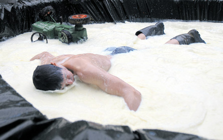 Es gibt Wege aus der Milchkrise