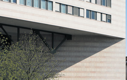 Beachtlicher Zuwachs