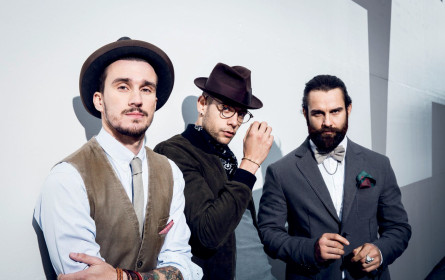 Fashionable Newcomer