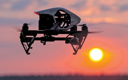 SES zählt mehr Besucher