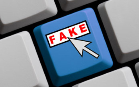 Deutsche Parteien fürchten im Wahlkampf Fake-News