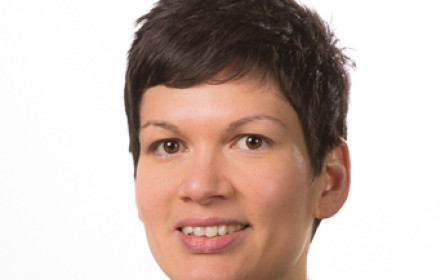 Praxisbezogene Programme für Führungskräfte