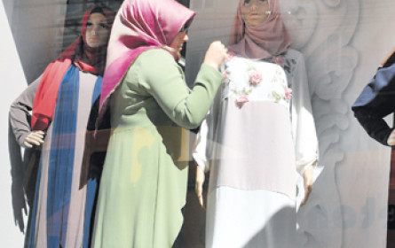 Ein rotes Tuch für die Vernunft