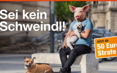 MA 48: Unique lässt die Sau raus!