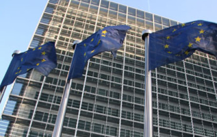 Europäische Medien fordern von Suchmaschinen Vergütung für Texte