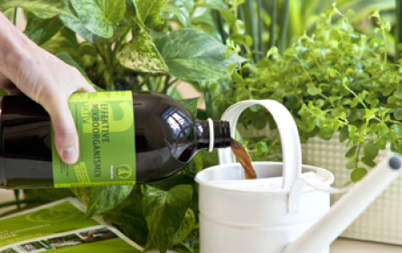 Kleine Helfer ganz groß