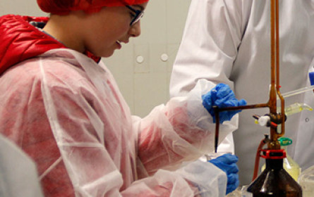 Schnuppertag bei Gourmet