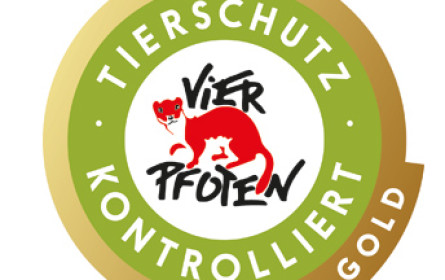 Vier Pfoten hat die Pfoten drauf