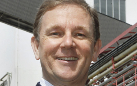 Papierkonzern nach Wien