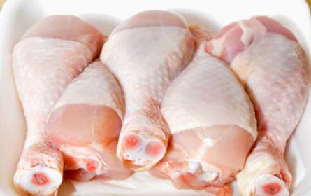 Vier Pfoten Gastro-Umfrage