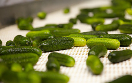 efko-Gurkenflieger unterwegs