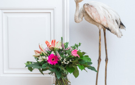 Neuer Onlinehandel für Blumen