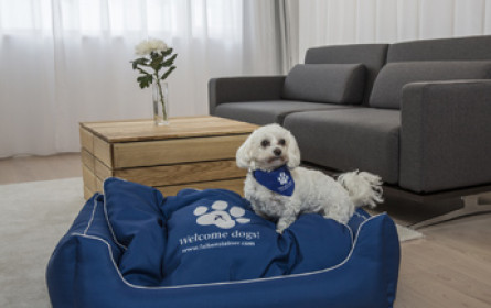 Auszeichnung für "Welcome Dogs!" bei Falkensteiner