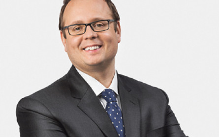 Die Banana Skins sind da