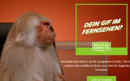 Auf der Suche nach GIFs für den nächsten TV-Spot
